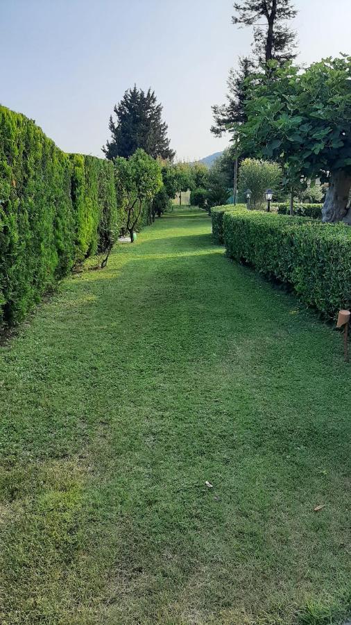 Casale Battaglini Bed and Breakfast Castelnuovo Cilento Eksteriør billede