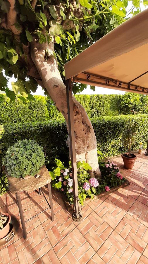 Casale Battaglini Bed and Breakfast Castelnuovo Cilento Eksteriør billede