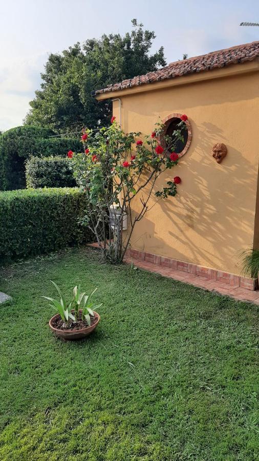 Casale Battaglini Bed and Breakfast Castelnuovo Cilento Eksteriør billede